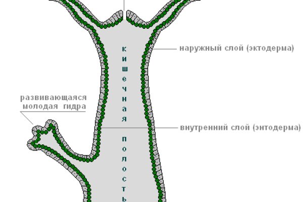 Почему не работает мега даркнет